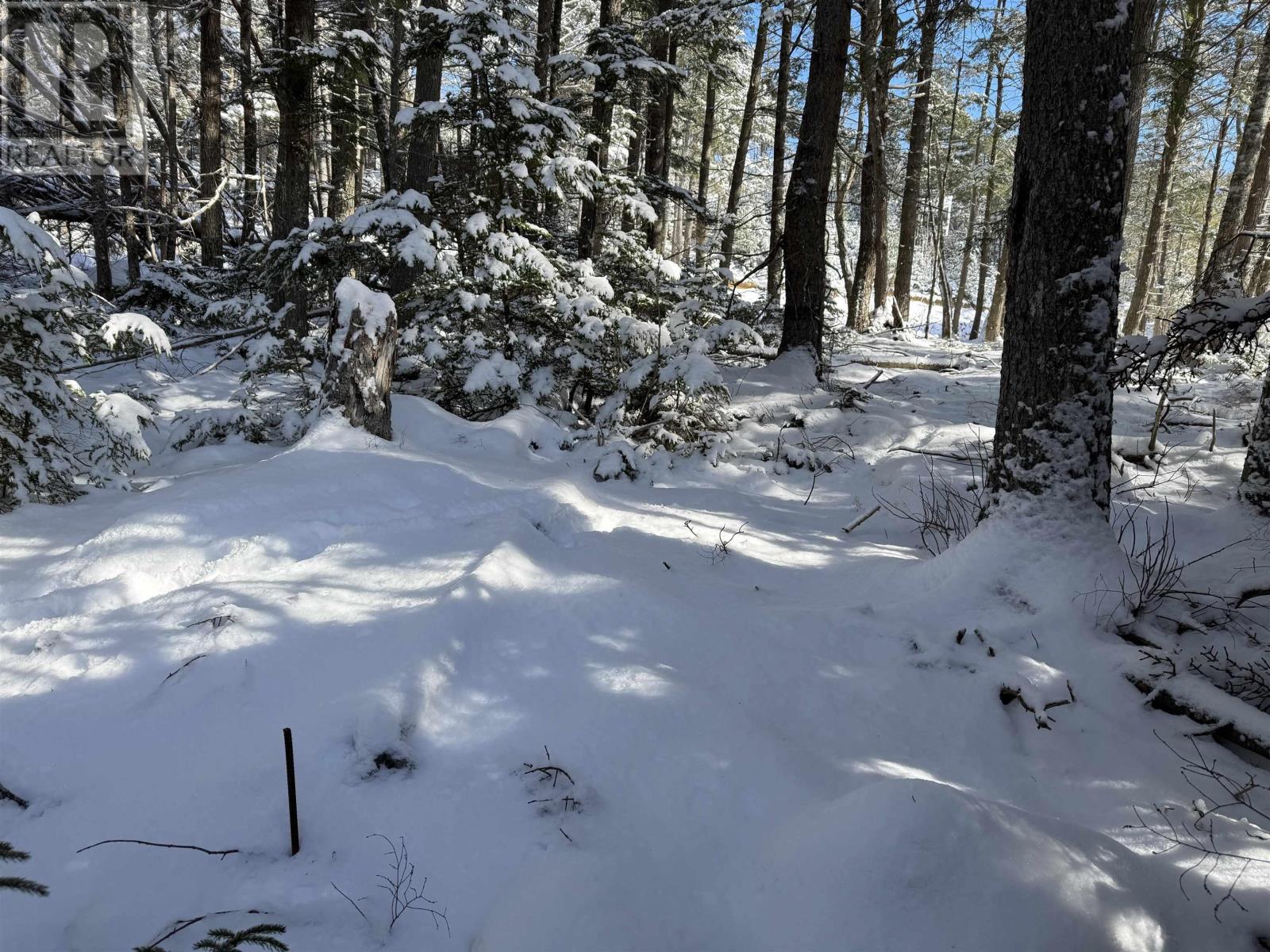 Lot 4 Harry Freeman Road, Labelle, Nova Scotia  B0T 1E0 - Photo 7 - 202502892