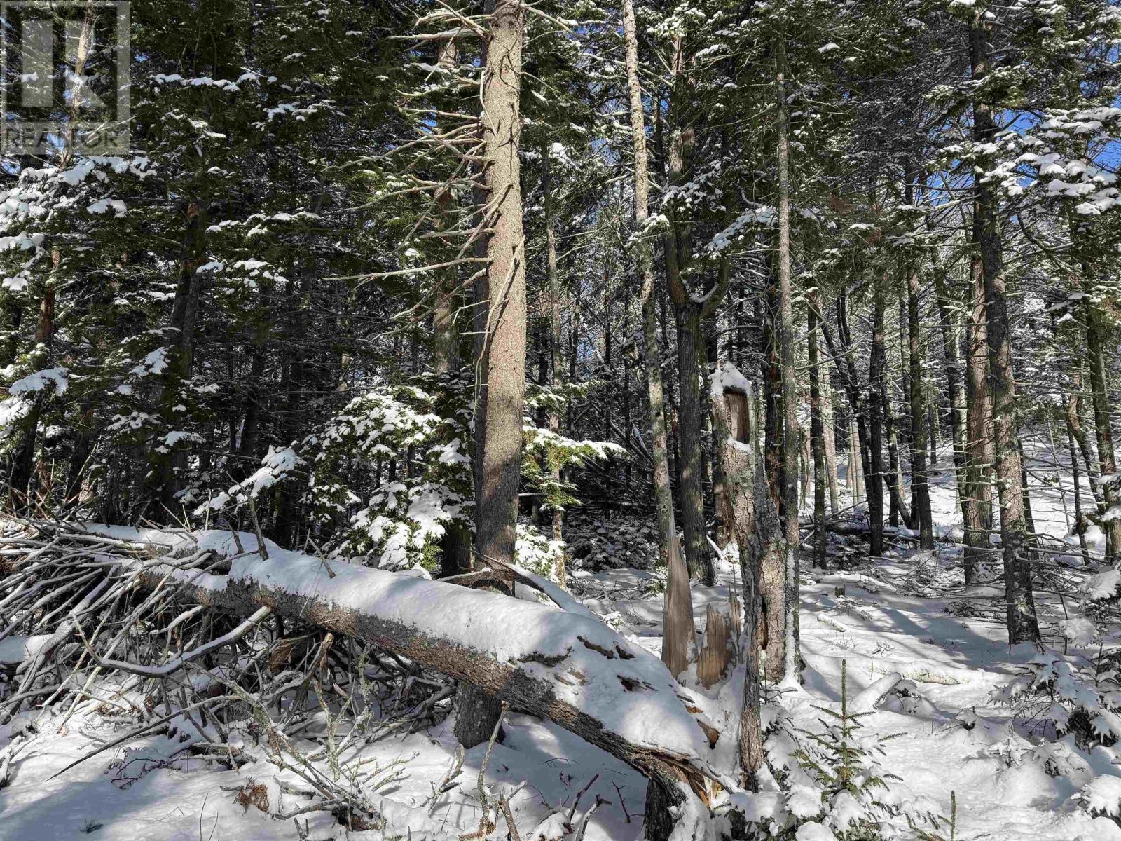 Lot 4 Harry Freeman Road, Labelle, Nova Scotia  B0T 1E0 - Photo 9 - 202502892