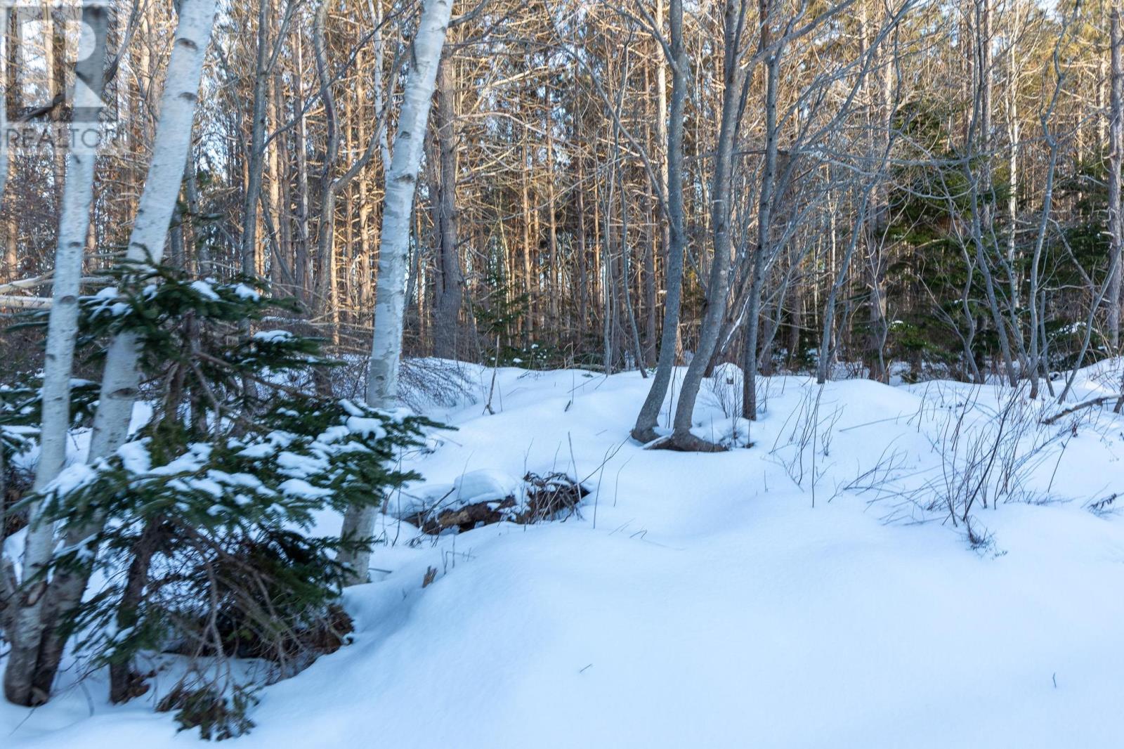 Lot 20 Swallow Point Road, Goose River, Prince Edward Island  C0A 2A0 - Photo 4 - 202502896
