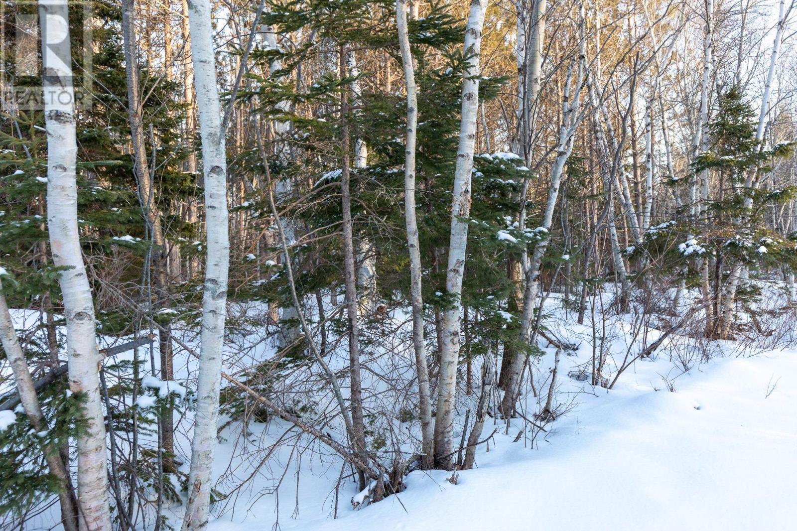 Lot 20 Swallow Point Road, Goose River, Prince Edward Island  C0A 2A0 - Photo 5 - 202502896