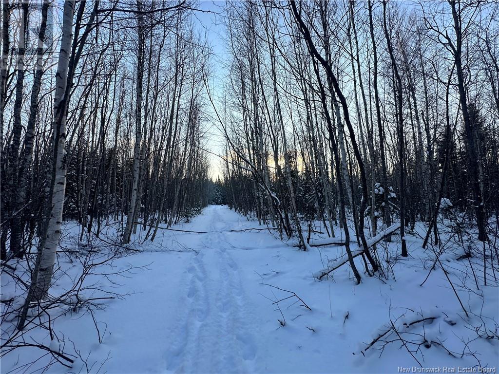 Lot Mclean Settlement, Saint-Paul, New Brunswick  E4T 3S1 - Photo 12 - NB111493