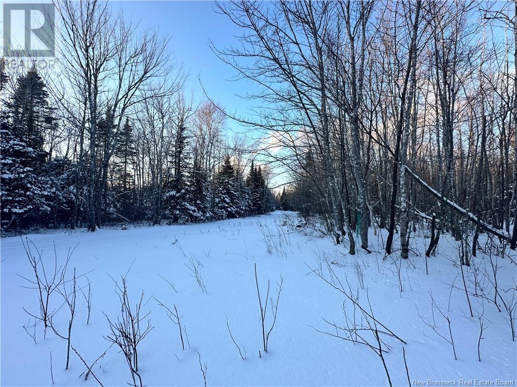 Lot Mclean Settlement, Saint-Paul, New Brunswick  E4T 3S1 - Photo 13 - NB111493