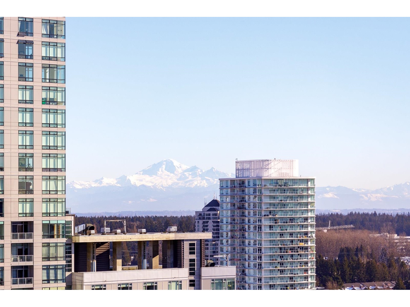 3109 13398 104 Avenue, Surrey, British Columbia  V3T 1V6 - Photo 33 - R2966836