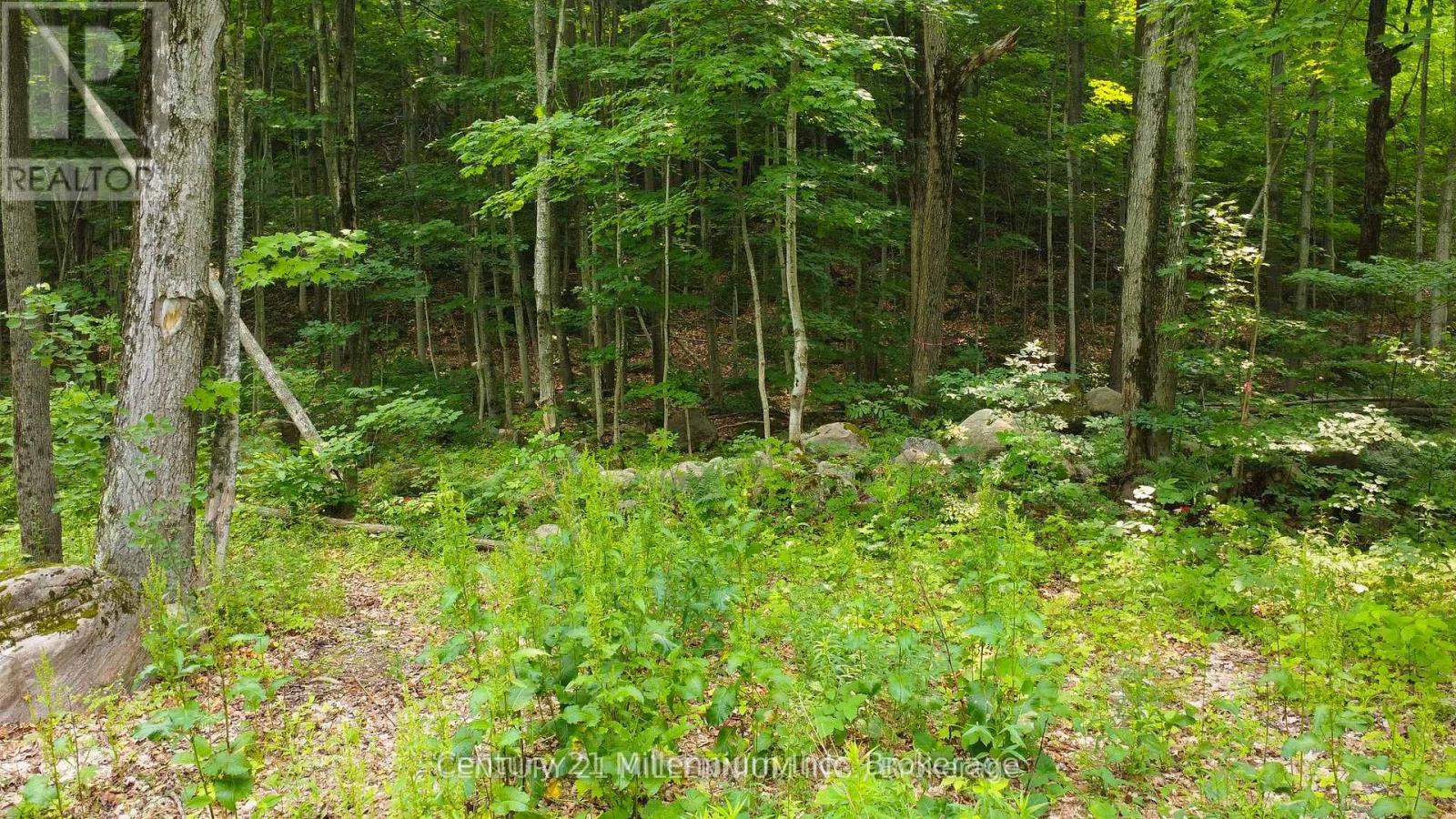 1963 Lot 52 Tiny Beaches Road N, Tiny, Ontario  L9M 0H8 - Photo 7 - S11973132