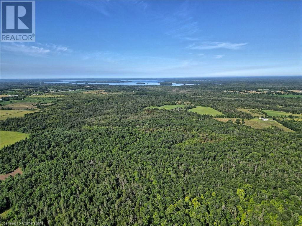 1058 Northline Road, Kawartha Lakes, Ontario  K0M 1K0 - Photo 7 - 40697975