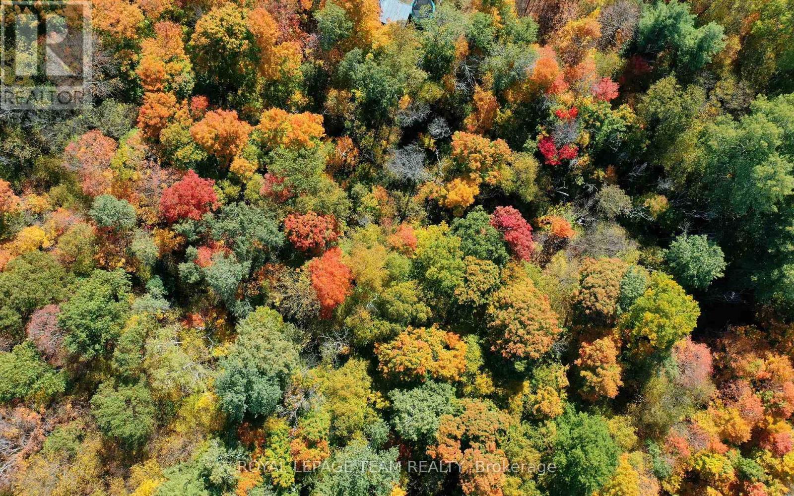 1231 Shiner Road, North Frontenac (Frontenac North), Ontario  K0H 2C0 - Photo 1 - X11973302