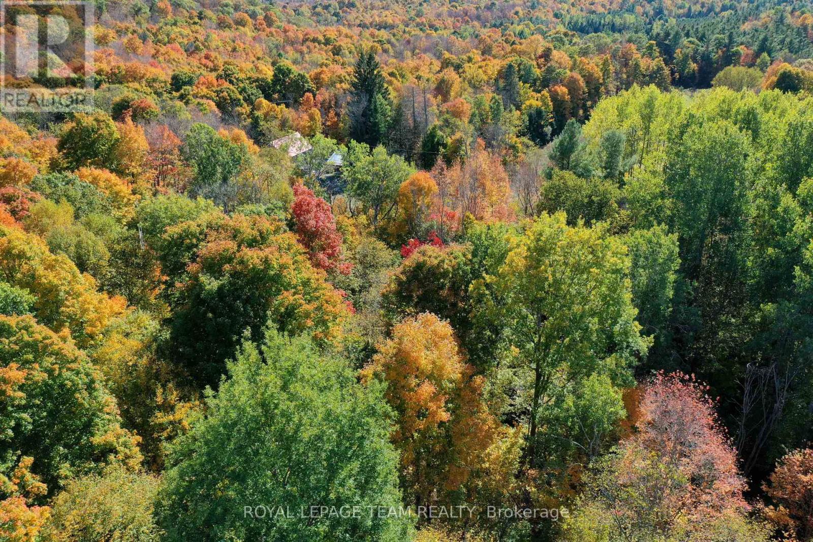 1231 Shiner Road, North Frontenac (Frontenac North), Ontario  K0H 2C0 - Photo 4 - X11973302