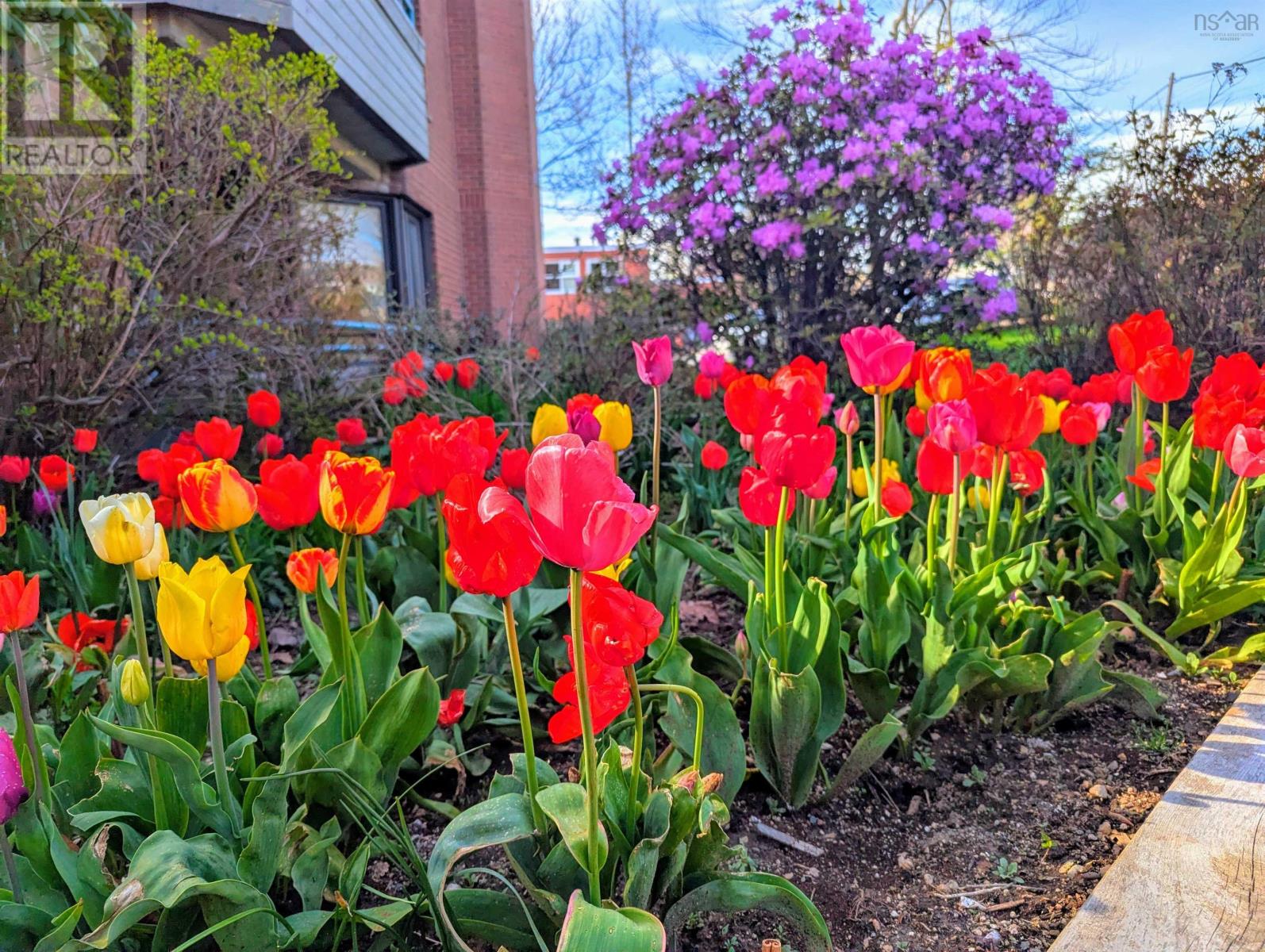 110 1350 Oxford Street, Halifax, Nova Scotia  B3H 3Y8 - Photo 2 - 202502954