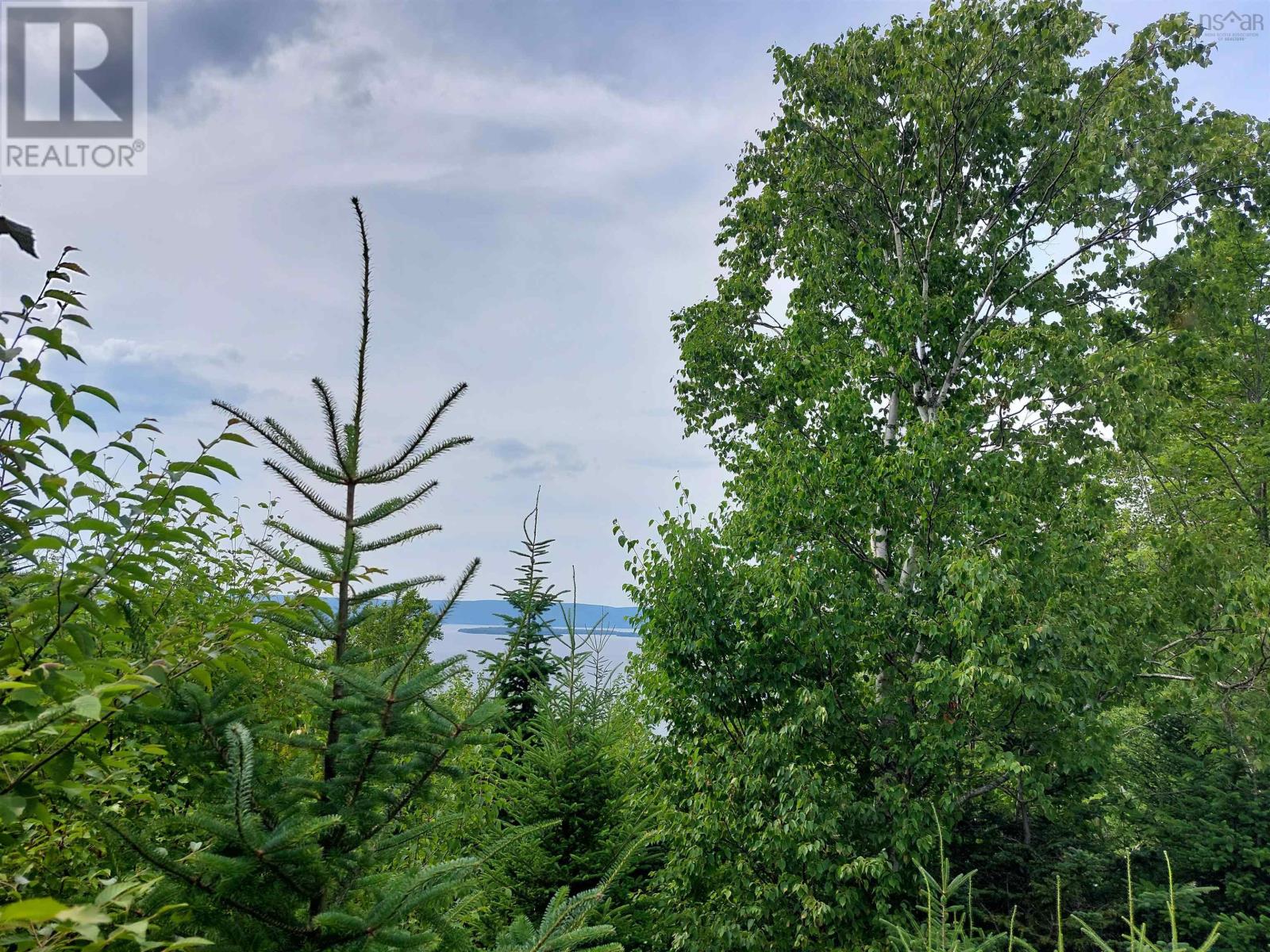 Lot 12 Golden View Dr., St George's Channel, Nova Scotia  B0E 3K0 - Photo 11 - 202502955