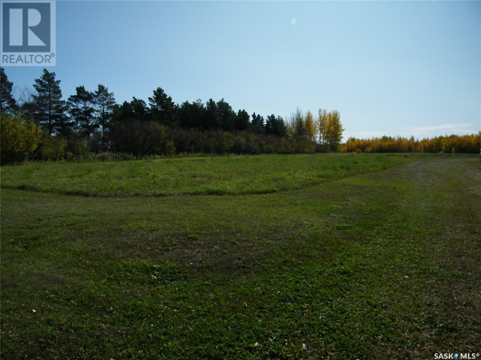 1140 1st Avenue, Humboldt, Saskatchewan  S0K 2A0 - Photo 4 - SK995991