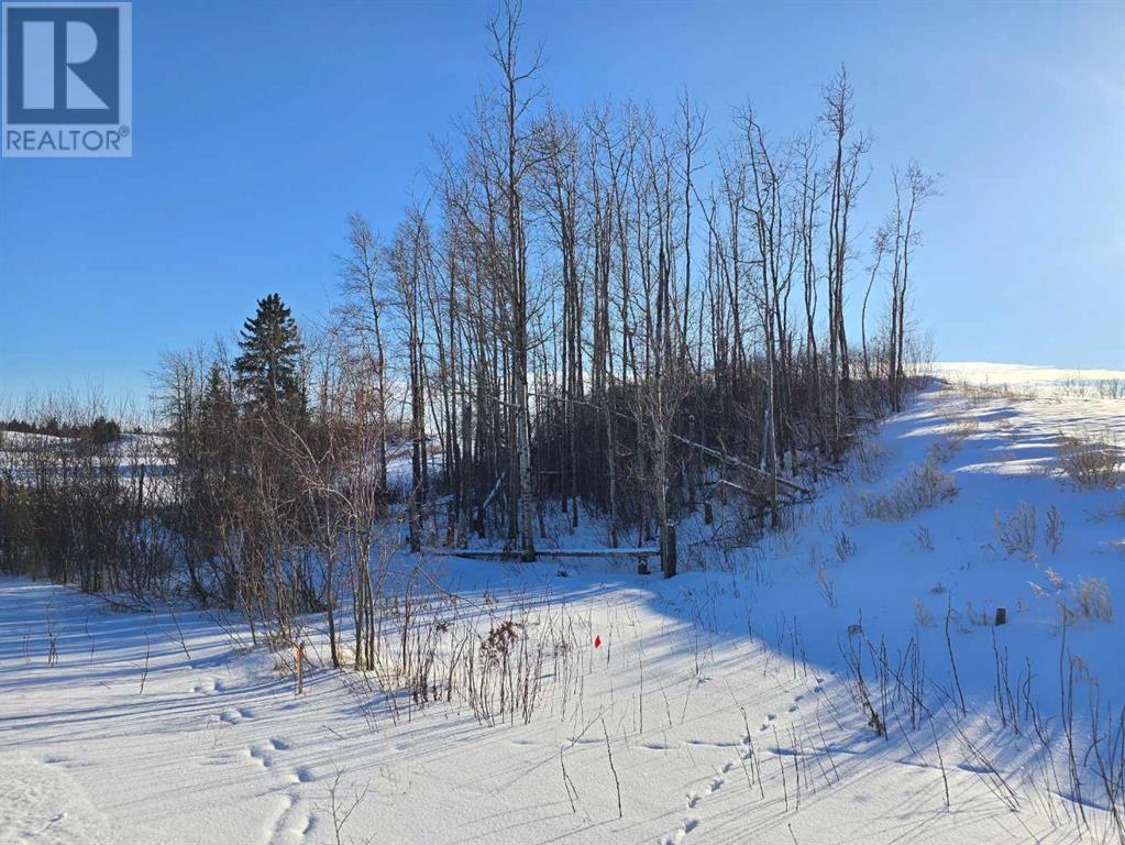 309 Wolf Run Drive, Rural Ponoka County, Alberta  T4J 0B3 - Photo 20 - A2194603