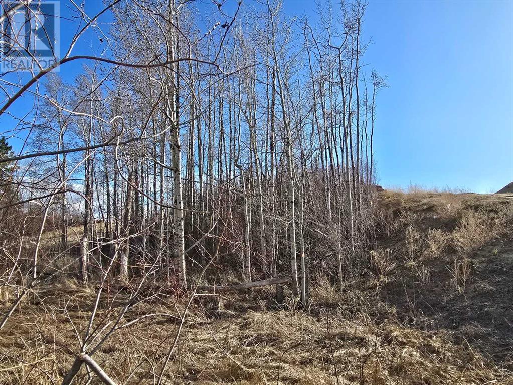 309 Wolf Run Drive, Rural Ponoka County, Alberta  T4J 0B3 - Photo 21 - A2194603