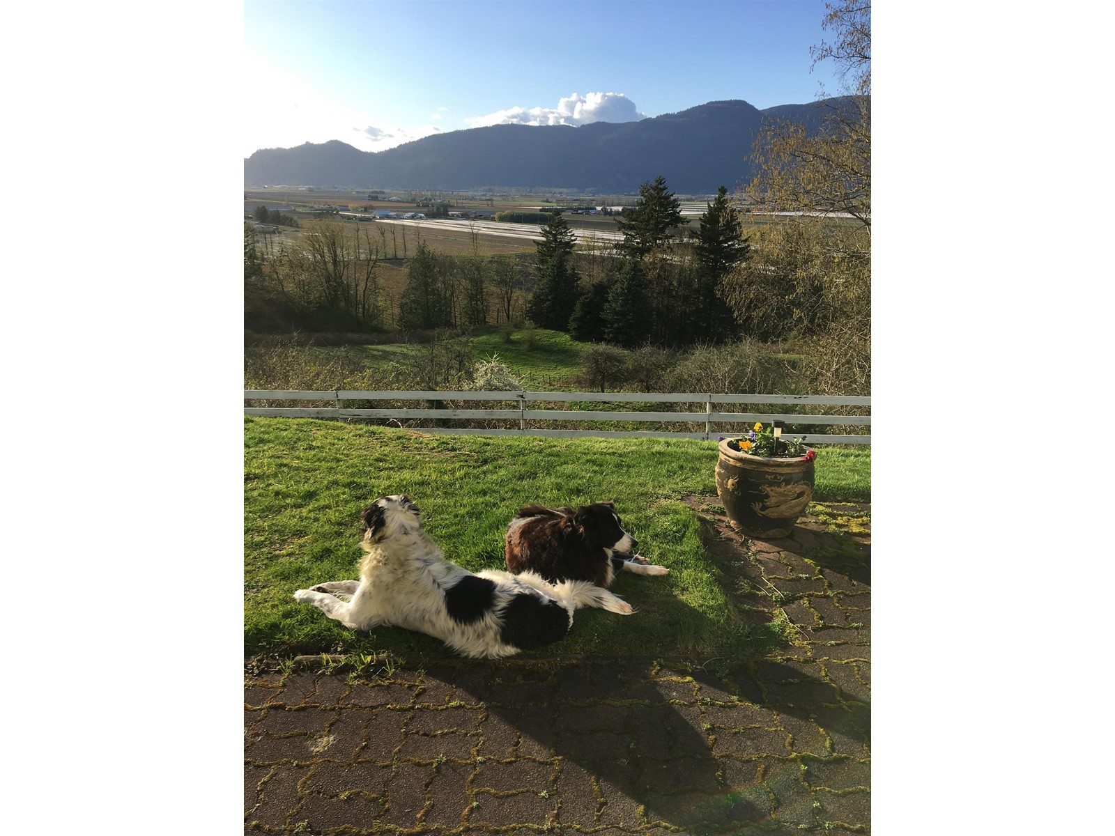 41313 Old Yale Road, Abbotsford, British Columbia  V3G 2S9 - Photo 23 - R2966963
