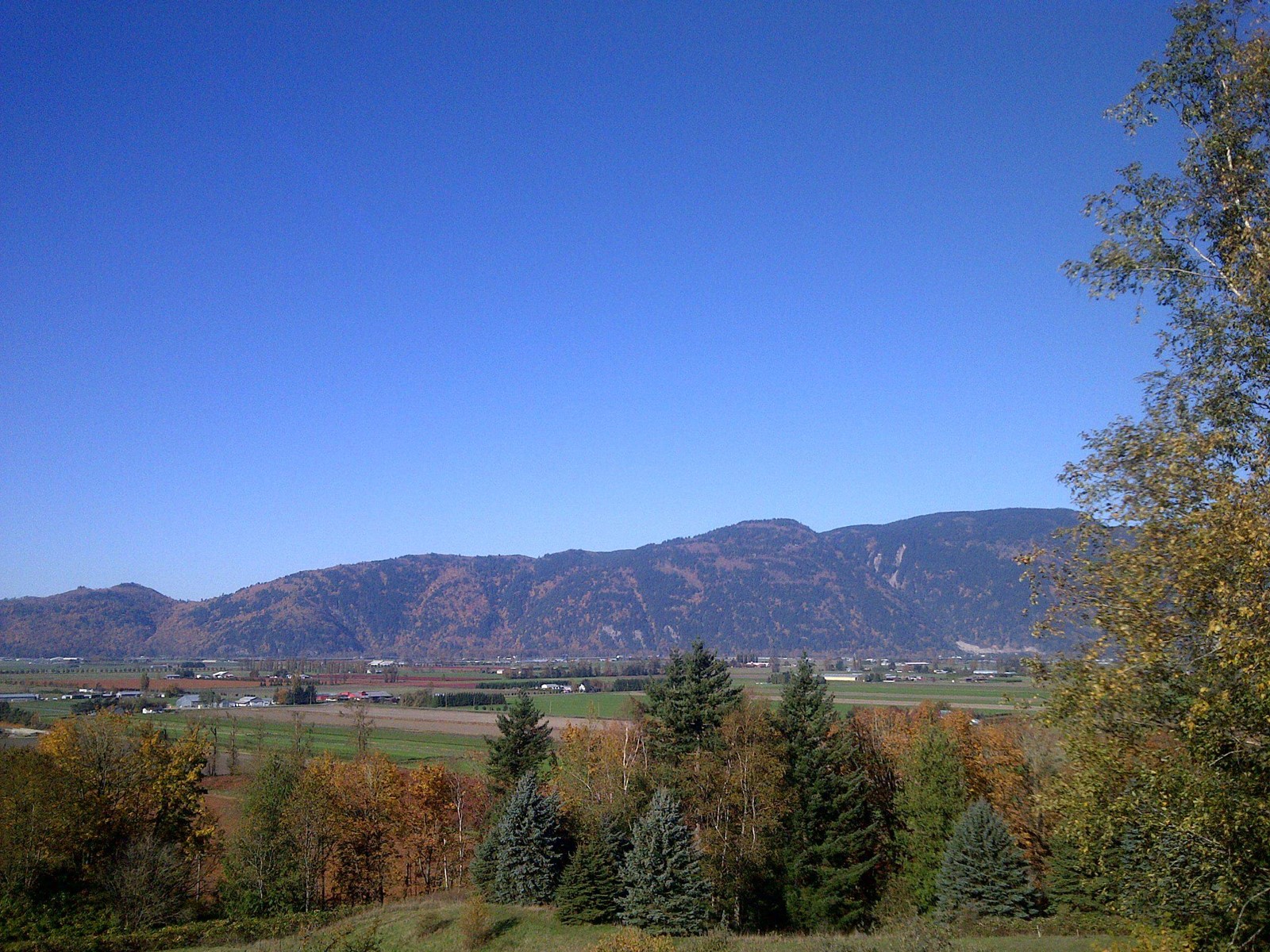 41313 Old Yale Road, Abbotsford, British Columbia  V3G 2S9 - Photo 10 - R2966963