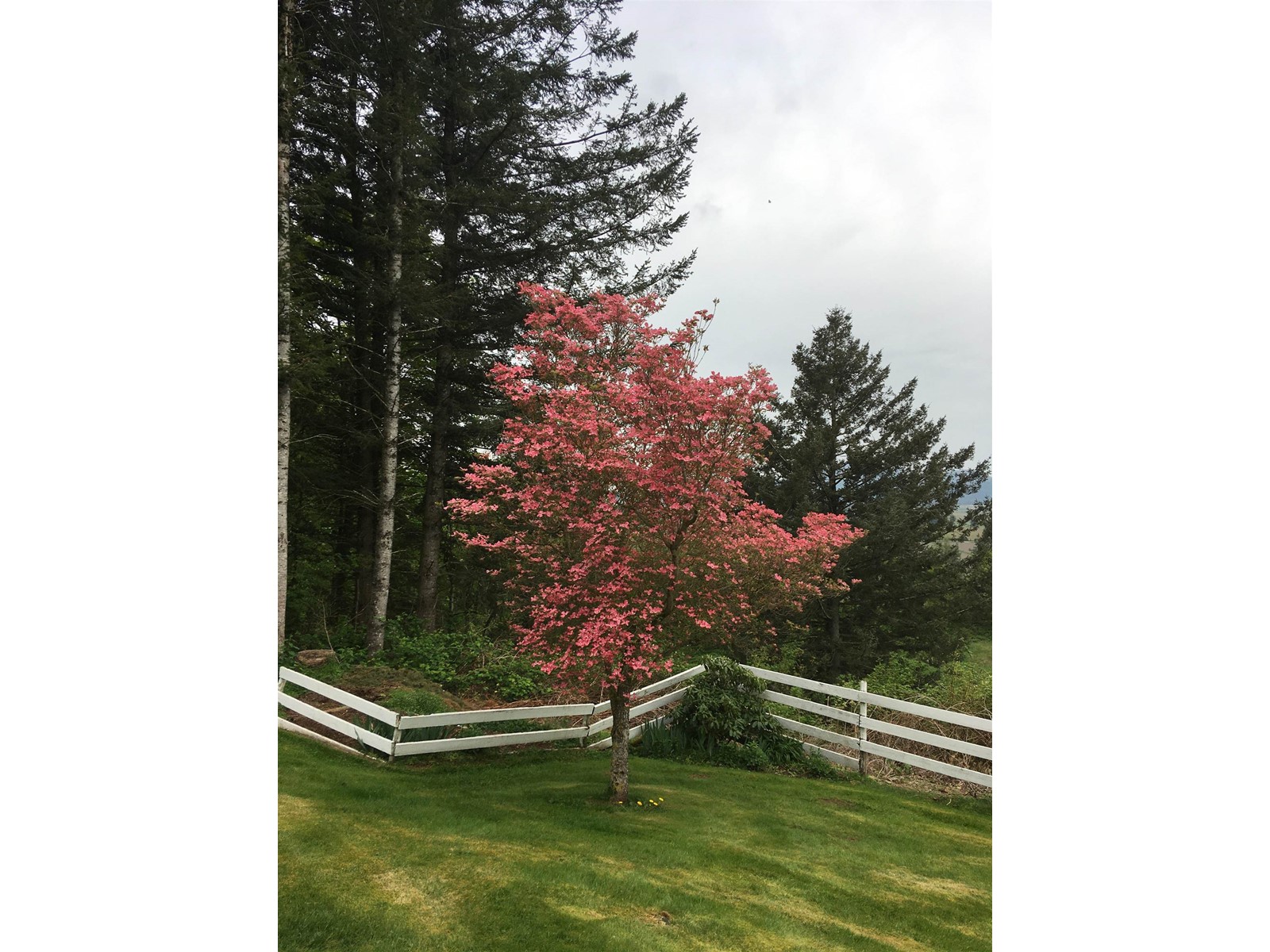 41313 Old Yale Road, Abbotsford, British Columbia  V3G 2S9 - Photo 18 - R2966963