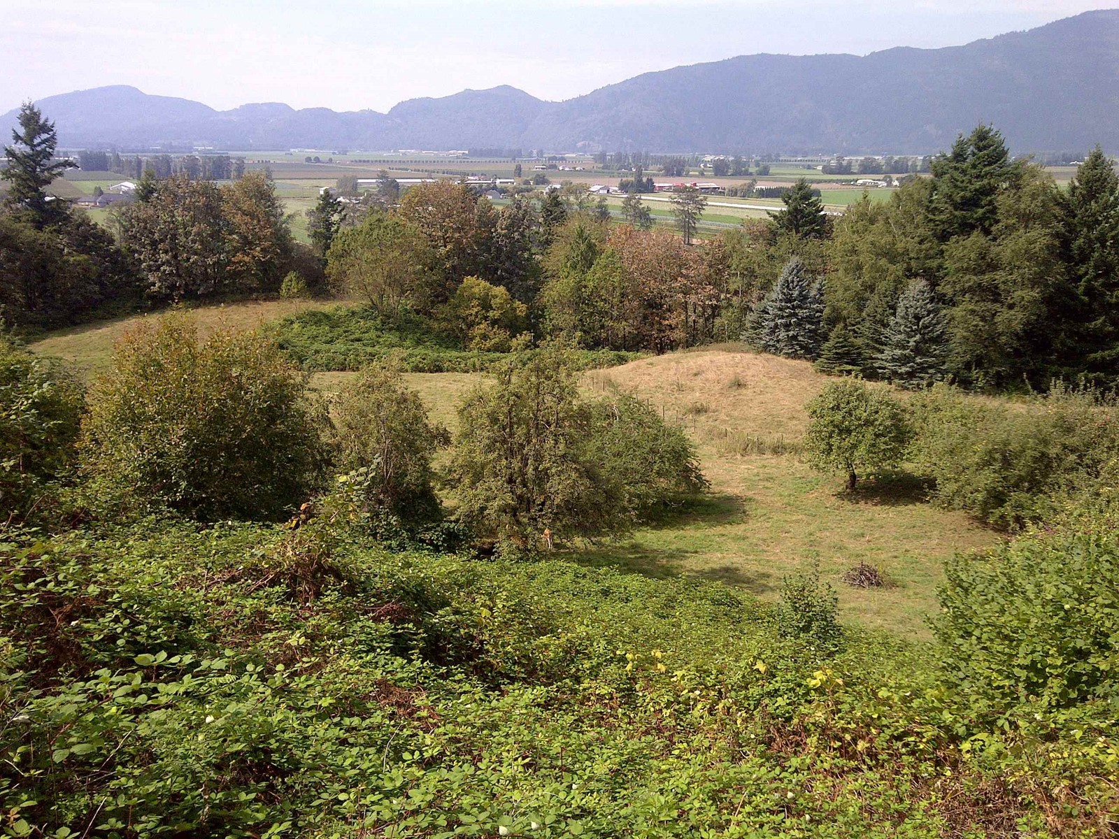 41313 Old Yale Road, Abbotsford, British Columbia  V3G 2S9 - Photo 6 - R2966963