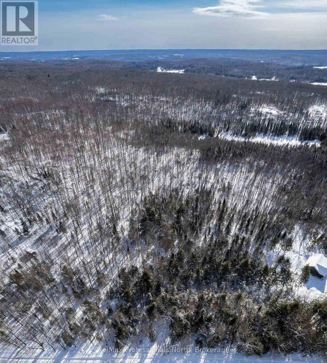 0 South Horn Lake Road, Burk's Falls, Ontario  P0A 1C0 - Photo 11 - X11973679