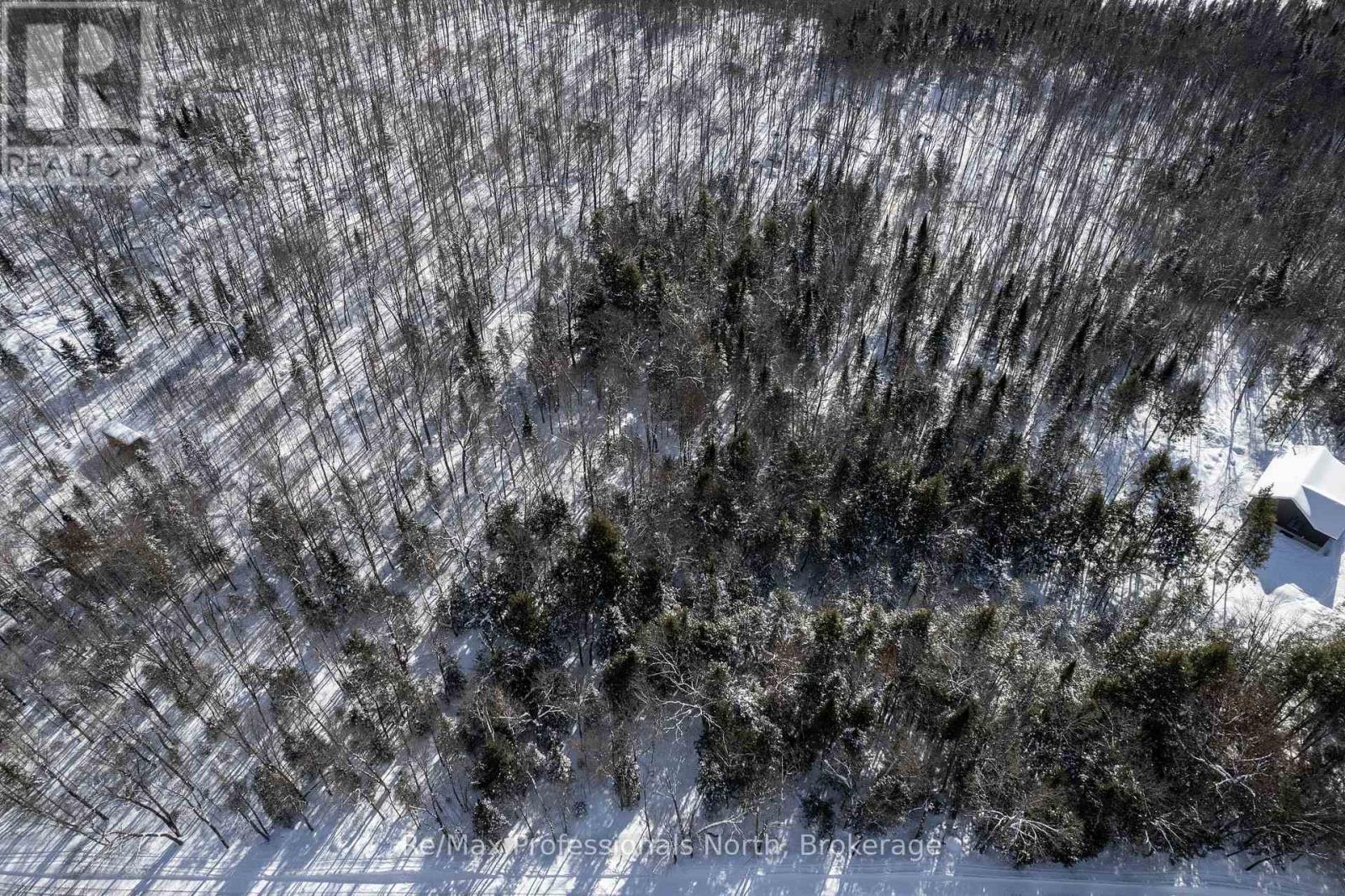 0 South Horn Lake Road, Burk's Falls, Ontario  P0A 1C0 - Photo 3 - X11973679