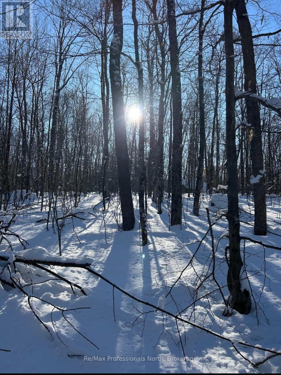 0 South Horn Lake Road, Burk's Falls, Ontario  P0A 1C0 - Photo 5 - X11973679