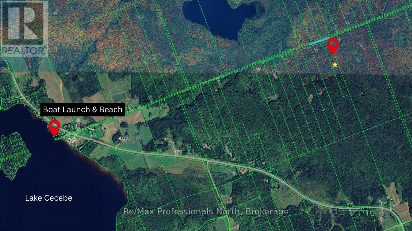 0 South Horn Lake Road, Burk's Falls, Ontario  P0A 1C0 - Photo 9 - X11973679