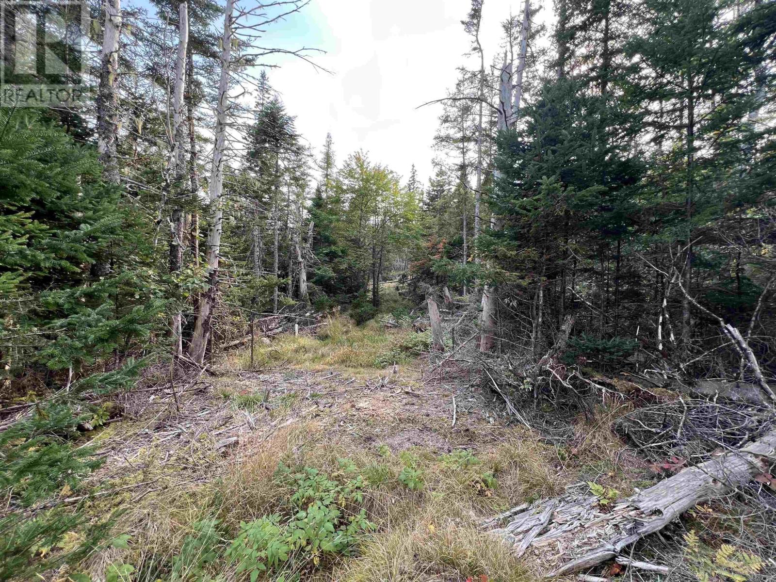 390 Conrads Road, Hubbards, Nova Scotia  B0J 1T0 - Photo 12 - 202422293