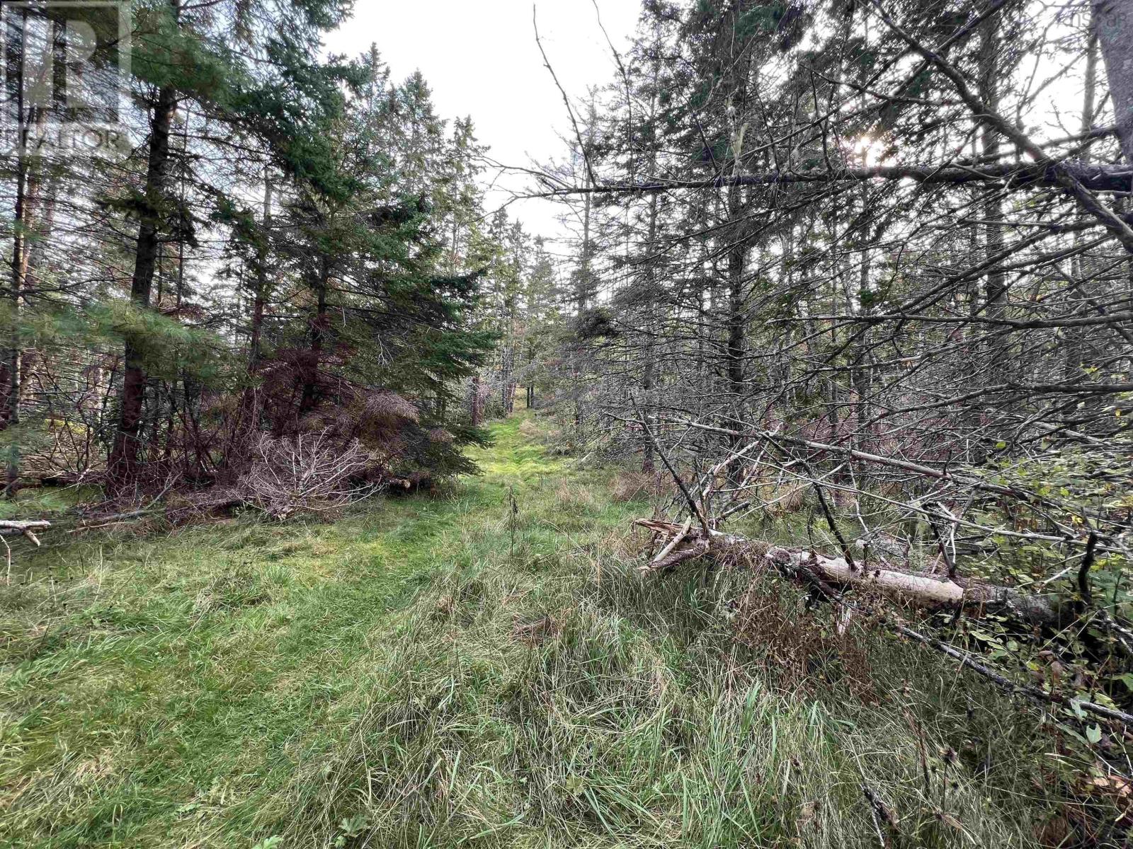 390 Conrads Road, Hubbards, Nova Scotia  B0J 1T0 - Photo 8 - 202422293