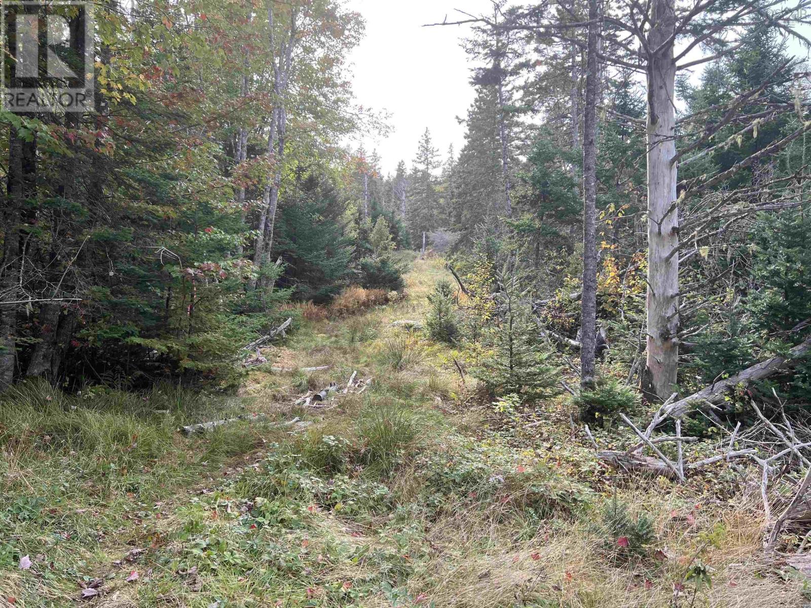 390 Conrads Road, Hubbards, Nova Scotia  B0J 1T0 - Photo 9 - 202422293