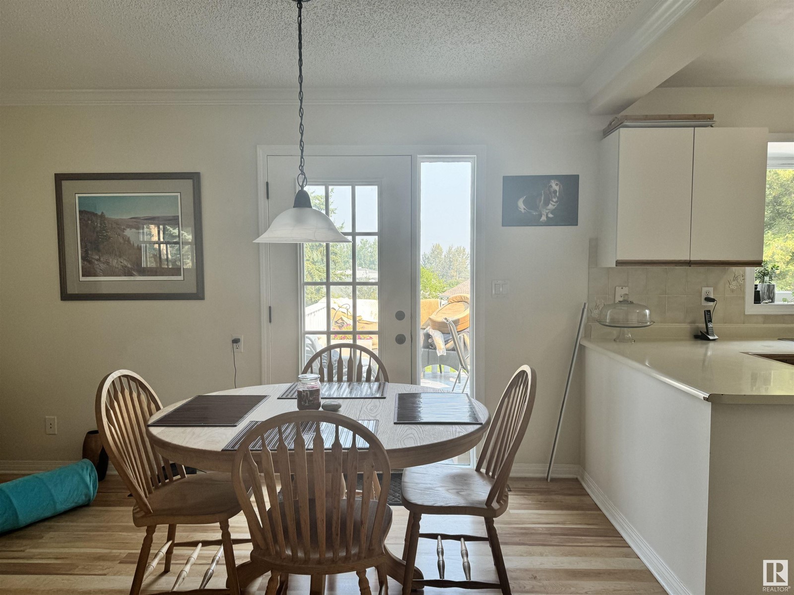 4607 Champagne Dr, Athabasca Town, Alberta  T9S 1J5 - Photo 9 - E4416368