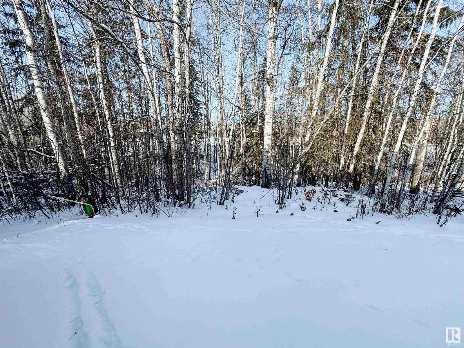 111, 5509 Twp 494, Rural Brazeau County, Alberta  T0C 1W0 - Photo 20 - E4421653