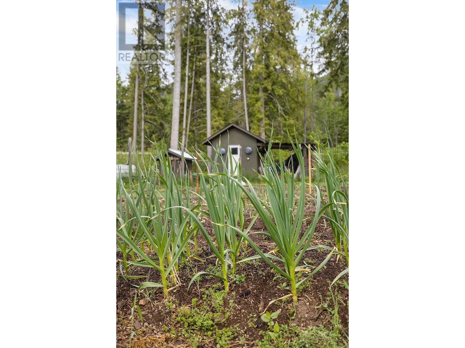 16317 Bowe Road, Crawford Bay, British Columbia  V0B 1E0 - Photo 4 - 10335562