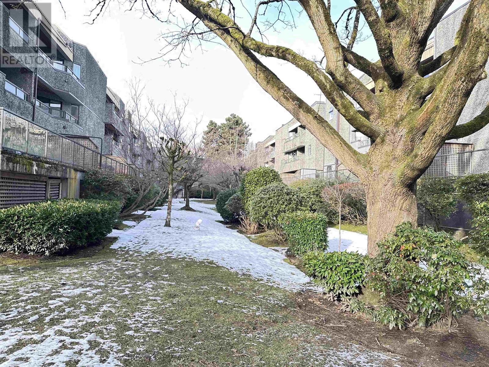 Property at 216 8460 ACKROYD ROAD image 4