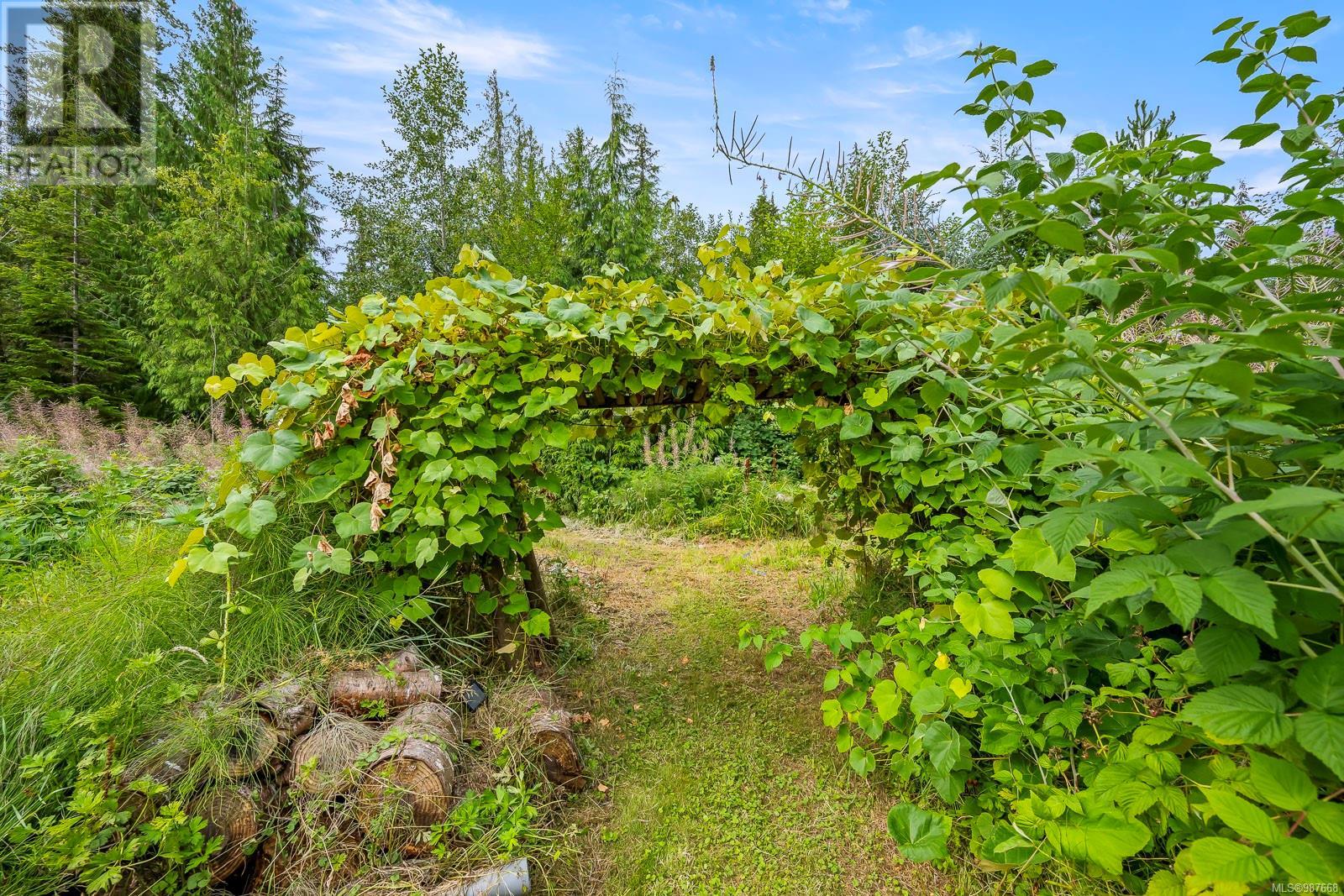 481 Olmstead Rd, Whaletown, British Columbia  V0P 1Z0 - Photo 39 - 987668