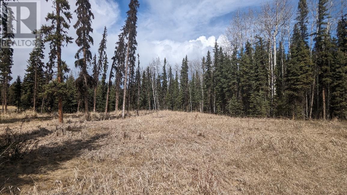 Lot 13 Unicorn Road, 100 Mile House, British Columbia  V0K 2E3 - Photo 7 - R2966766