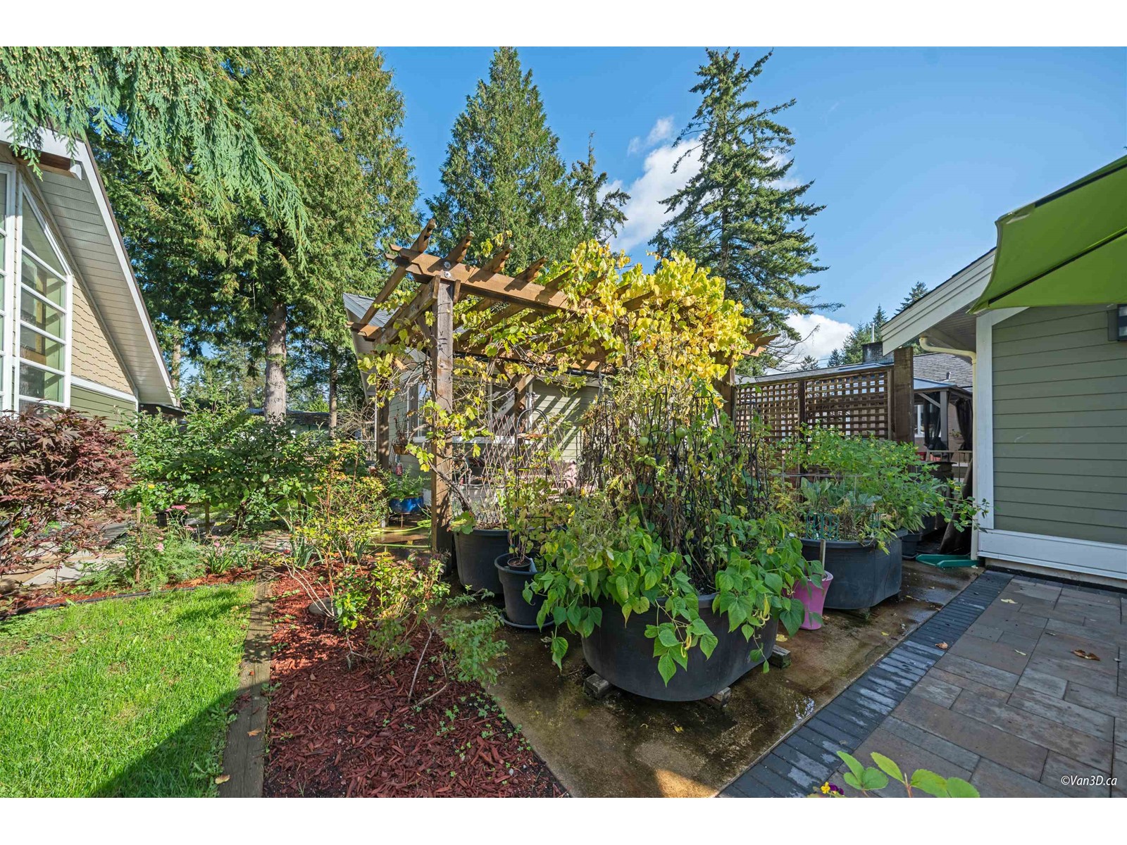 3353 200 Street, Langley, British Columbia  V3A 4W5 - Photo 22 - R2961697