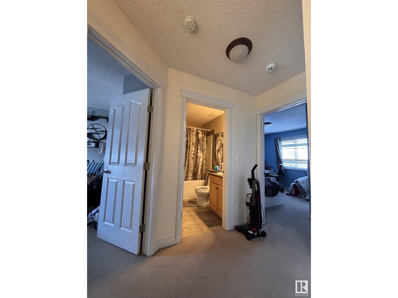 14514 141 St Nw, Edmonton, Alberta  T6V 1Y1 - Photo 15 - E4421490