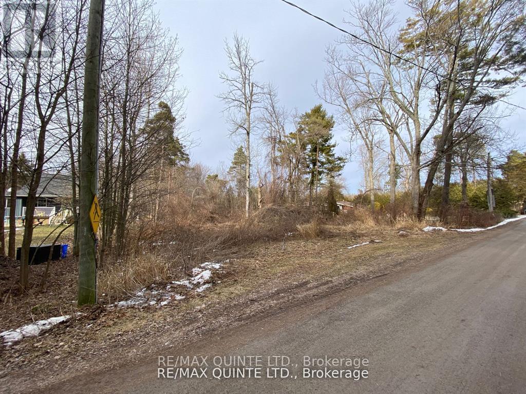 Property at 149 EVERGREEN LANE image 5