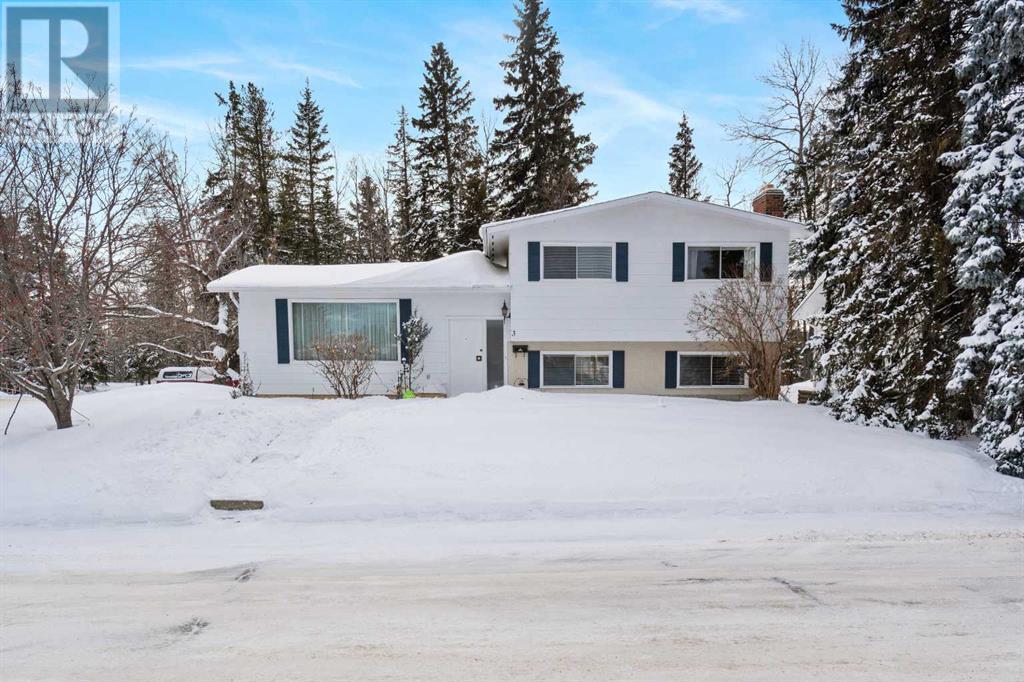 3 Chickadee Drive, Whitecourt, Alberta  T7S 1G3 - Photo 29 - A2192613