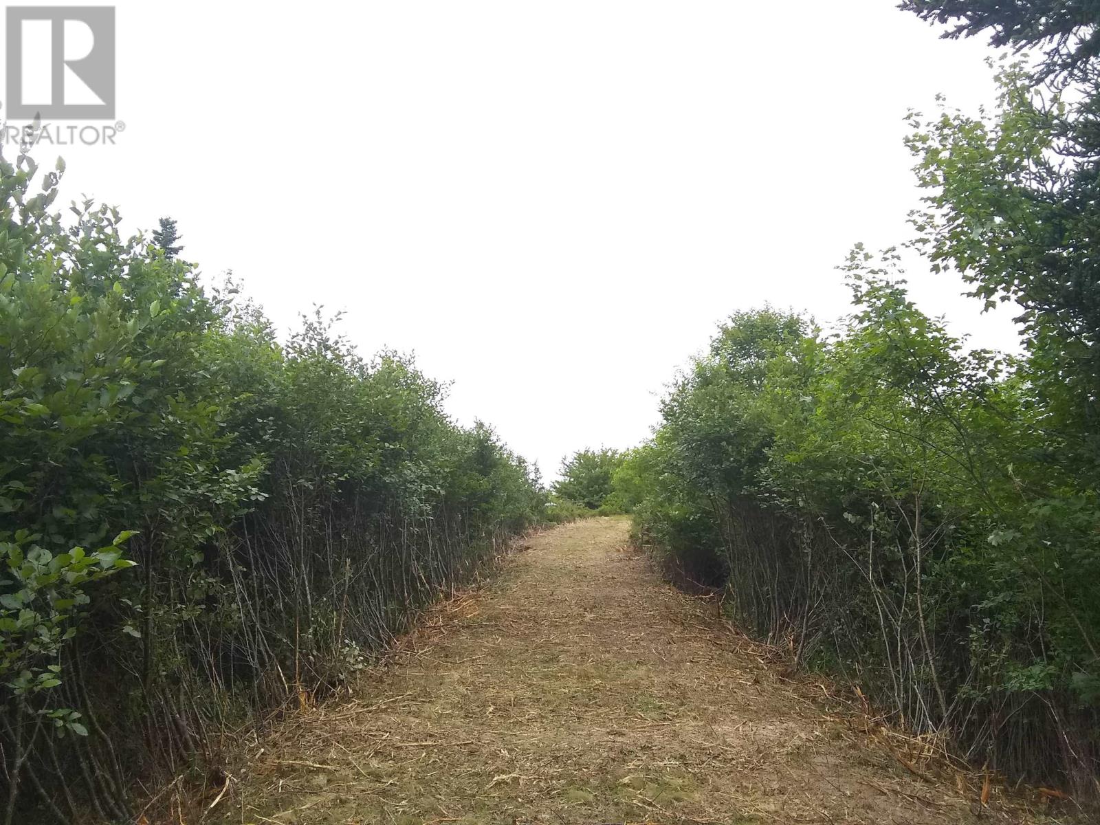 43 Stevens Road, East Green Harbour, Nova Scotia  B0T 1L0 - Photo 11 - 202503005