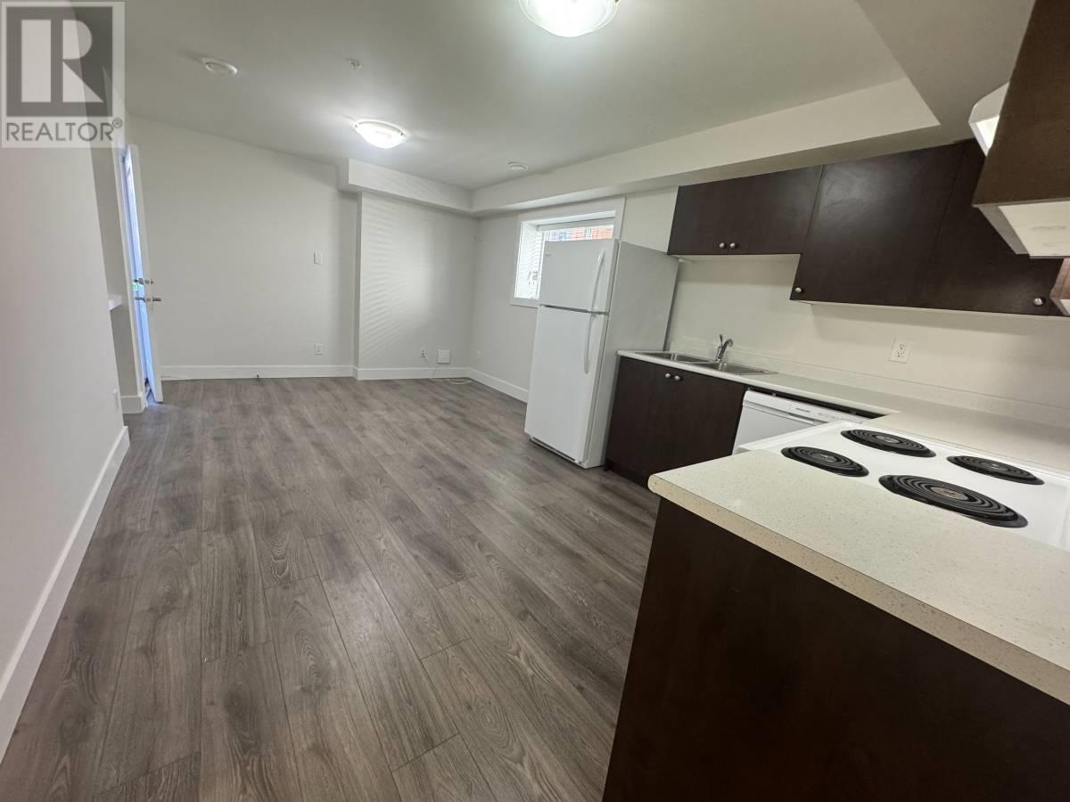 Basement Suite 23889 119b Avenue, Maple Ridge, British Columbia  V4R 2E6 - Photo 3 - R2967190
