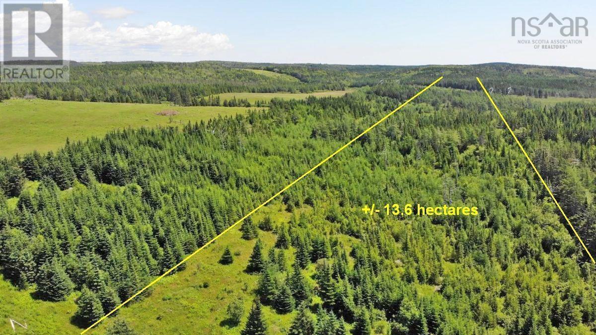 Lot 4 Highway 4, Soldiers Cove, Nova Scotia  B0E 3B0 - Photo 10 - 202403879