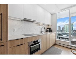 2009 13685 102 AVENUE, Surrey, British Columbia