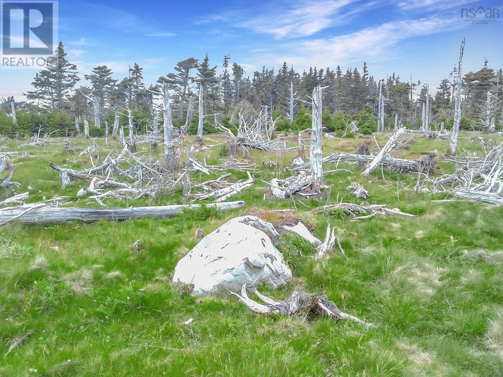 Harbour Island, Drumhead, Nova Scotia  B0H 1L0 - Photo 21 - 202503020