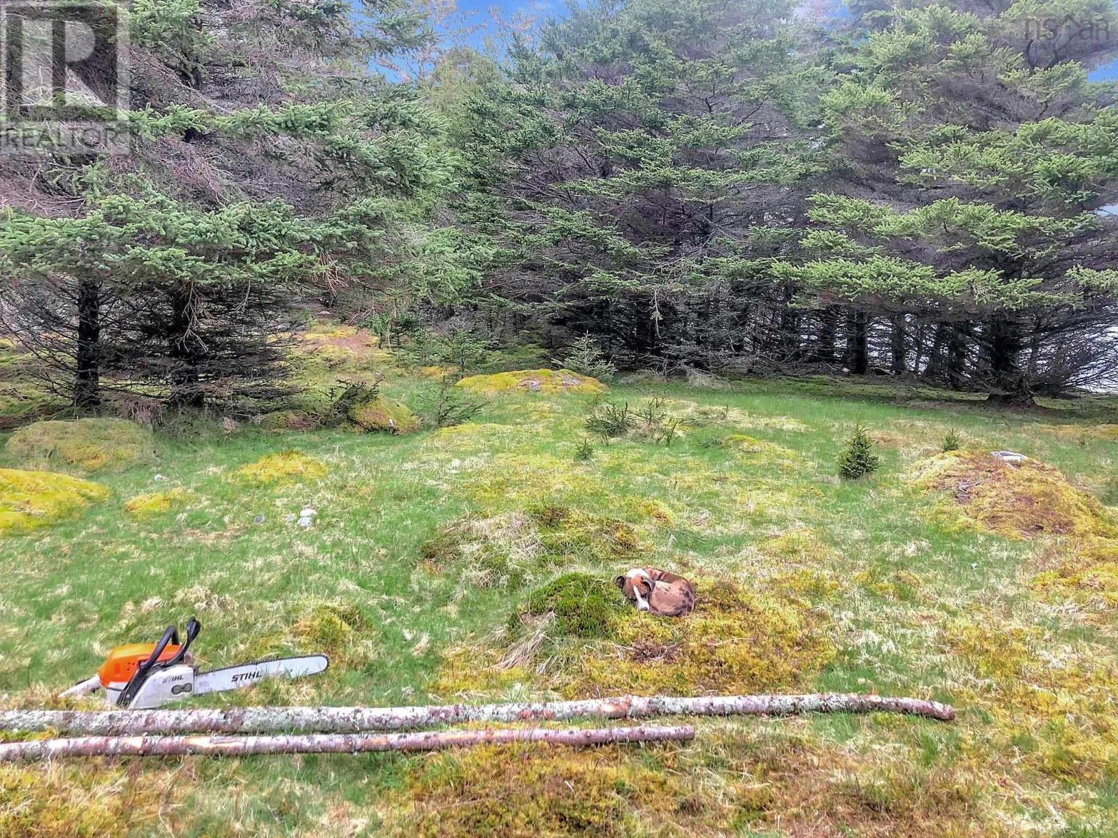Harbour Island, Drumhead, Nova Scotia  B0H 1L0 - Photo 25 - 202503020