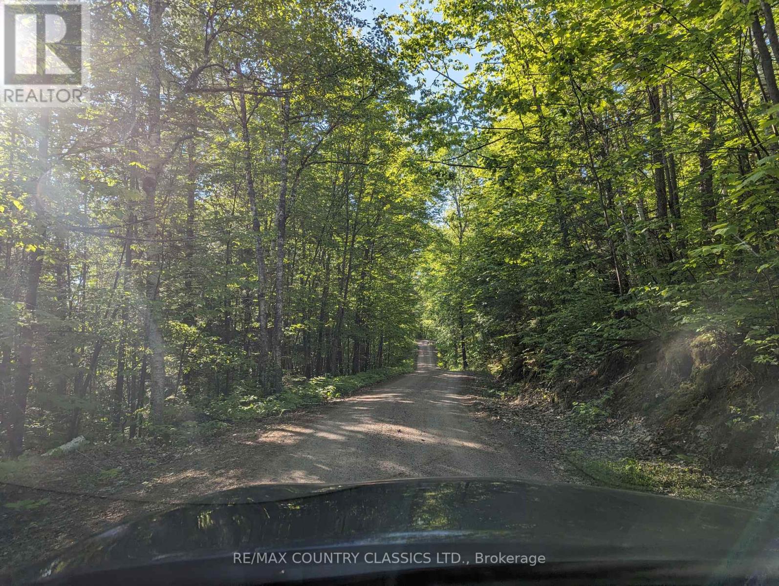 Lot A Otter Lake Lane, Madawaska Valley, Ontario  K0J 1B0 - Photo 4 - X11975487