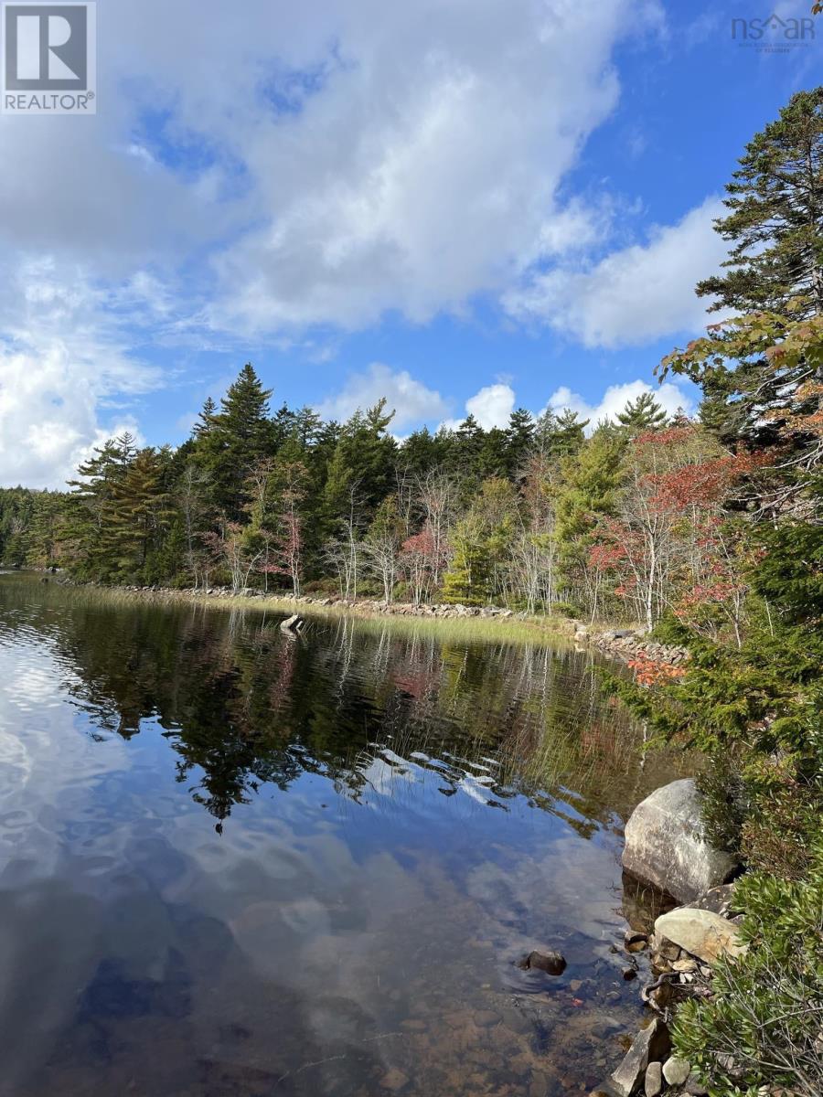 442 Narrows Road, Labelle, Nova Scotia  B0T 1E0 - Photo 8 - 202500301