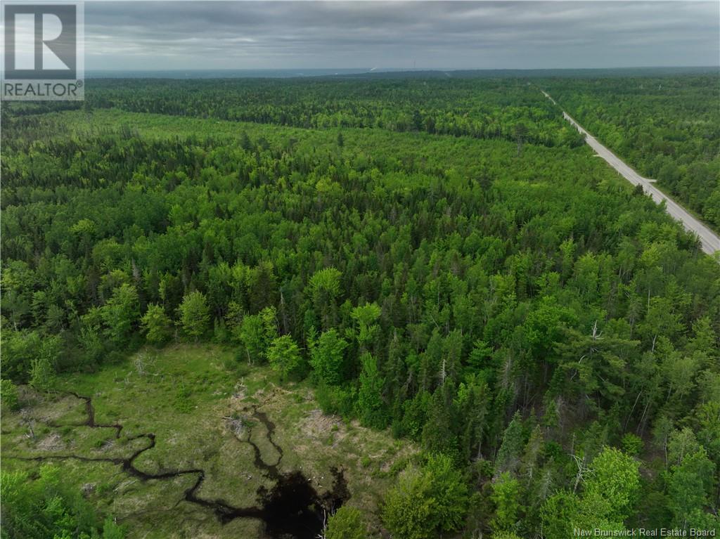 Oldfield Road, Bartibog, New Brunswick  E1V 6L4 - Photo 6 - NB082894