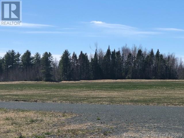 Wells Brook Road, Black River Bridge, New Brunswick  E1N 5S7 - Photo 11 - NB087617