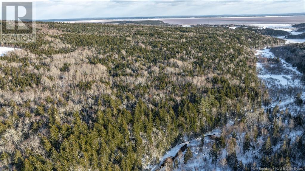 4396 Route 114, Lower Cape, New Brunswick  E4H 3P3 - Photo 44 - NB112720