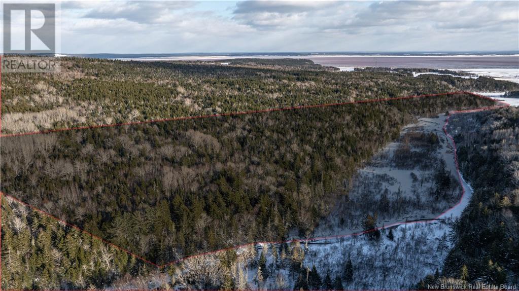 4396 Route 114, Lower Cape, New Brunswick  E4H 3P3 - Photo 43 - NB112720