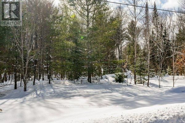 Unit 2 - 2029 Little Hawk Lake Road, Algonquin Highlands, Ontario  K0M 1J2 - Photo 32 - X11976353